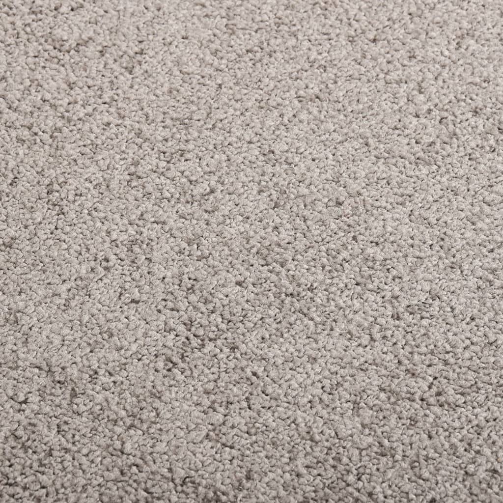  Fußmatte Grau 40x60 cm
