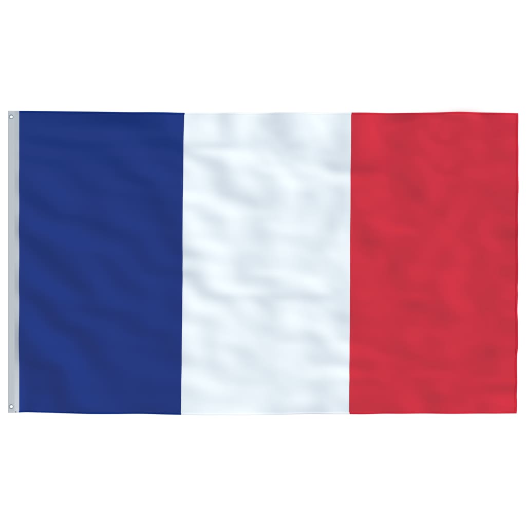  Französische Flagge mit Mast 6,23 m Aluminium