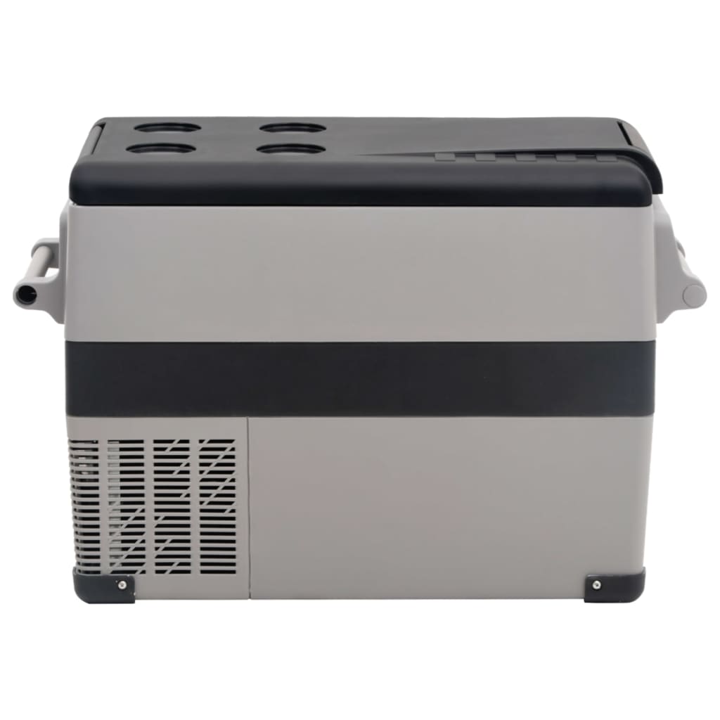  Kühlbox mit Tragegriff Grau 55L PP & PE