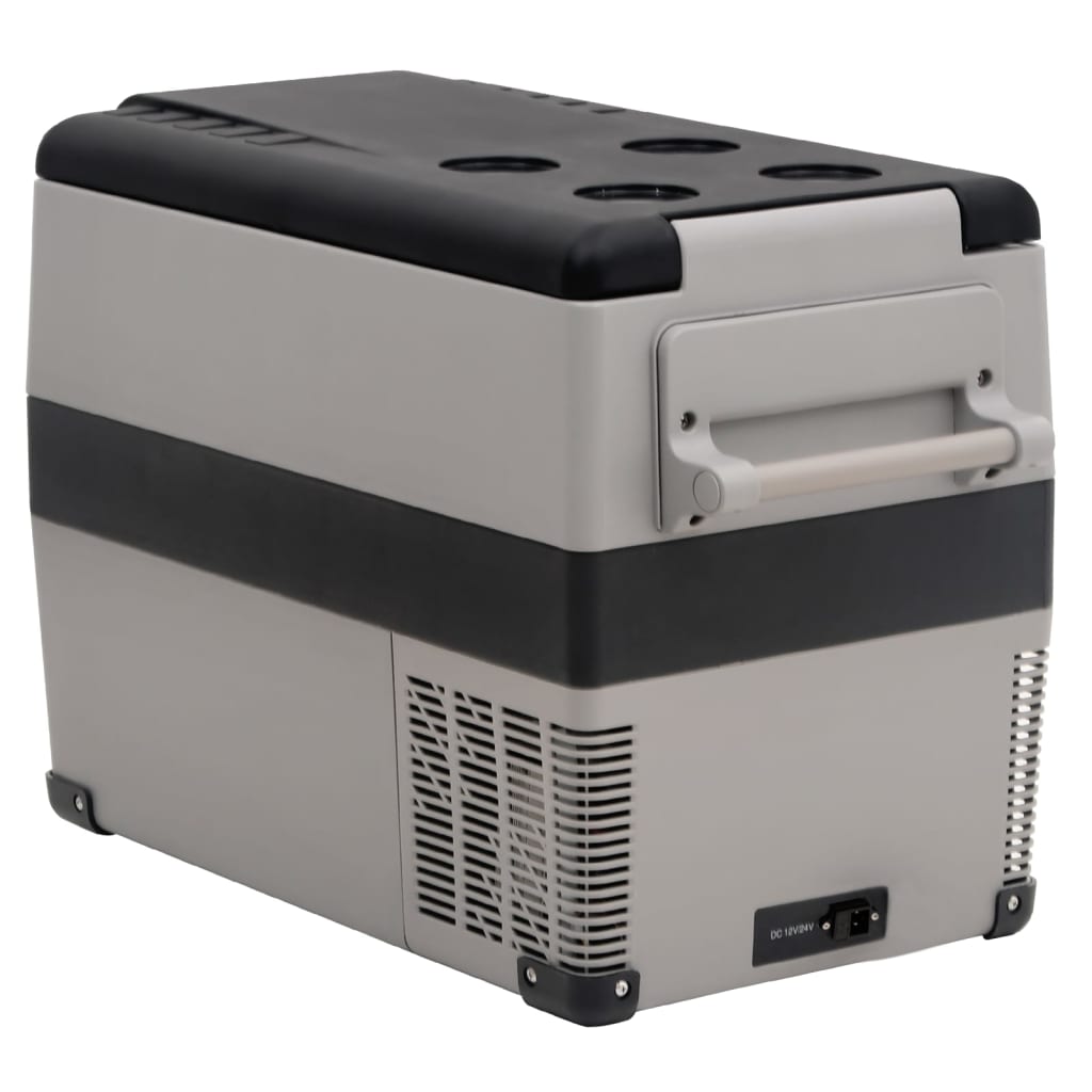  Kühlbox mit Tragegriff Grau 55L PP & PE