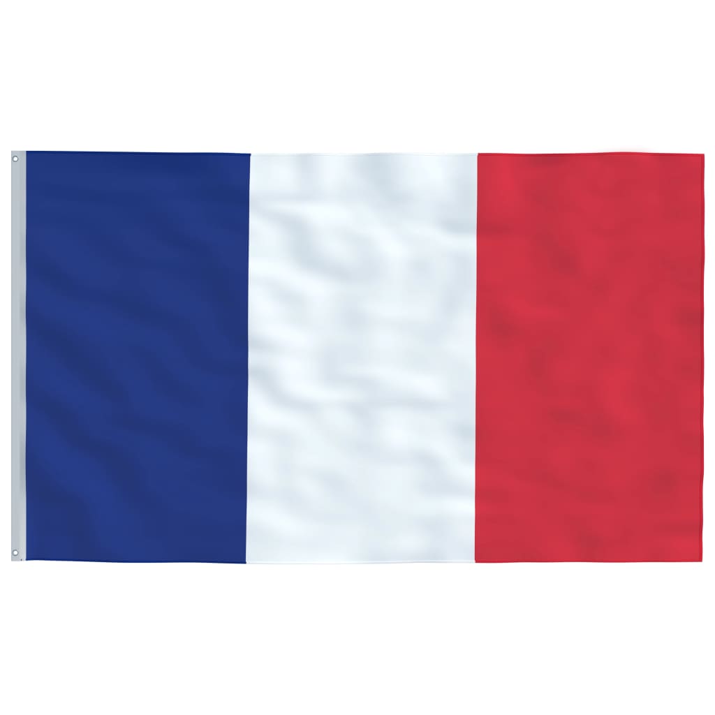  Flagge Frankreichs mit Mast 5,55 m Aluminium