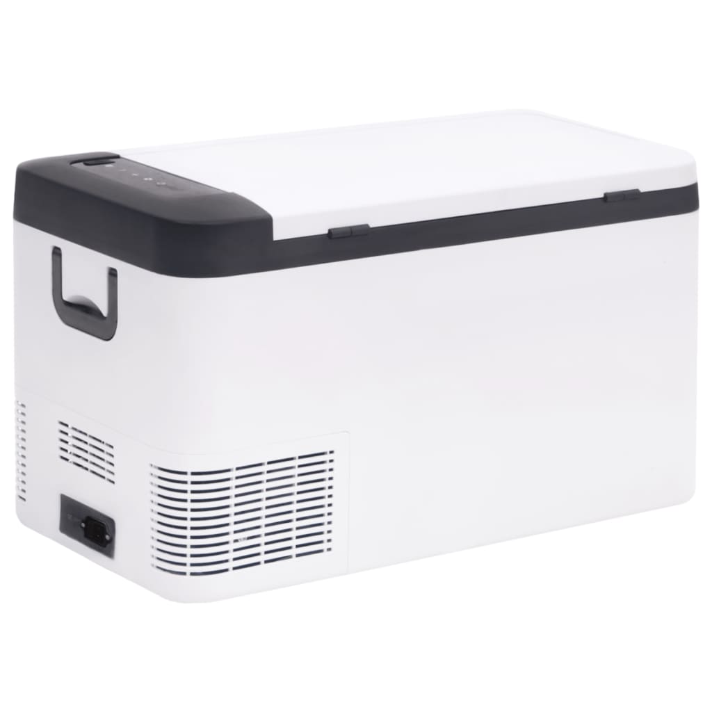  Kühlbox mit Tragegriff Schwarz und Weiß 18L PP & PE